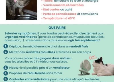 Actualité