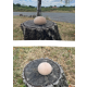 Galet de la forêt - 6381047561-perle.png